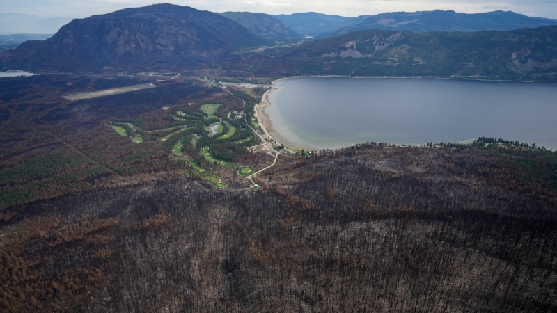 As sweltering heat sets in over much of the province, the BC Wildfire Service is warning that dry conditions will increase the potential of increased wildfire activity. Trees burned by the Bush Creek East Wildfire are seen above Little Shuswap Lake in Squilax, B.C., Monday, Sept. 11, 2023. (Darryl Dyck / The Canadian Press)